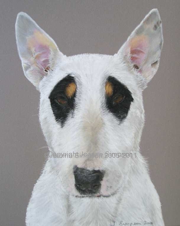 Bull Terrier pet portrait by Joanne Simpson